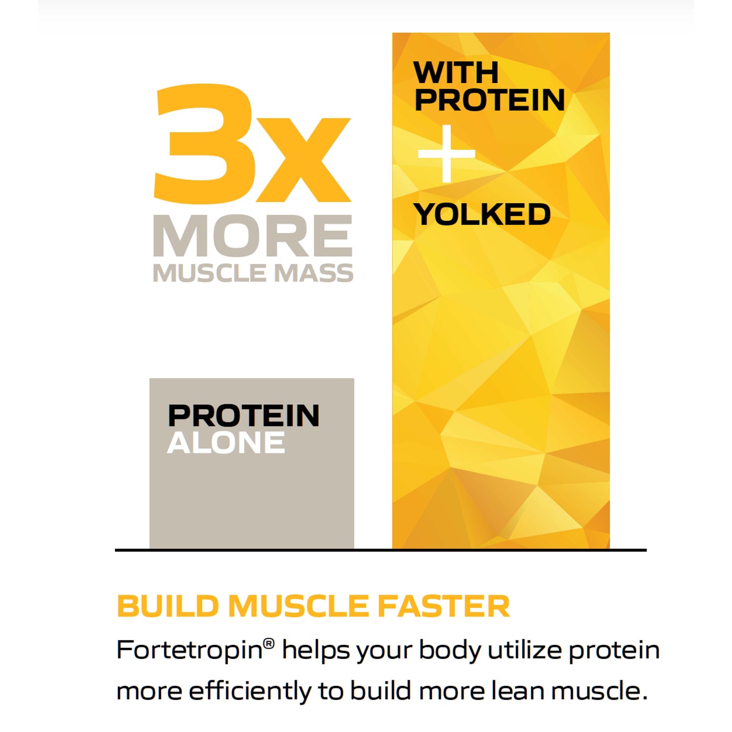 YOLKED 5 Pack Single Serves