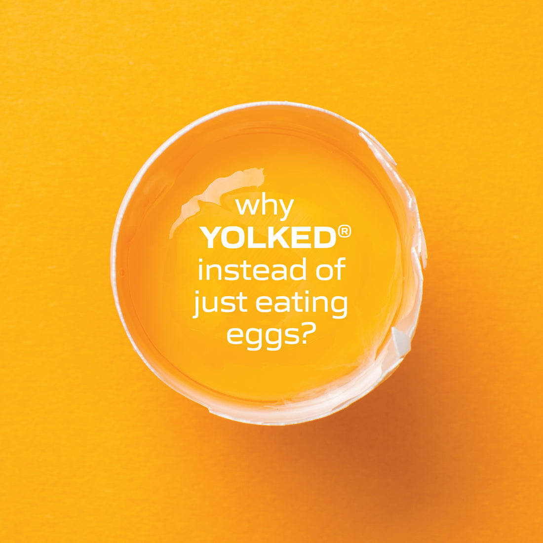 Why Do I Need To Get YOLKED? When I Can Just Eat Eggs?