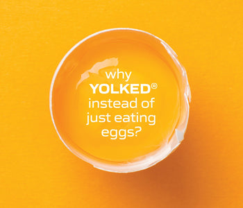 Why Choose YOLKED Instead of Just Eating Eggs?