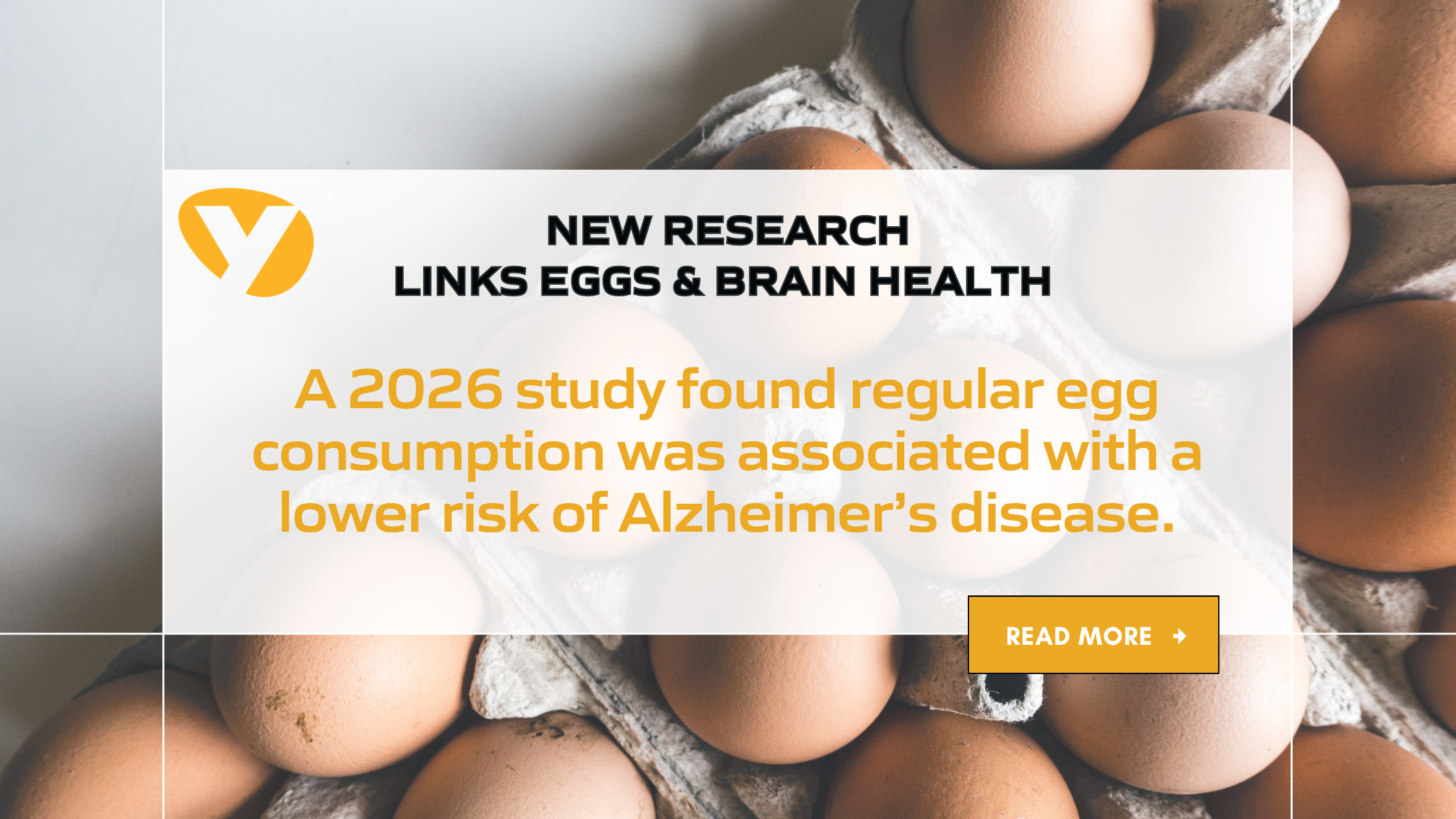 Eggs, Brain Health, and the Future of Healthy Aging