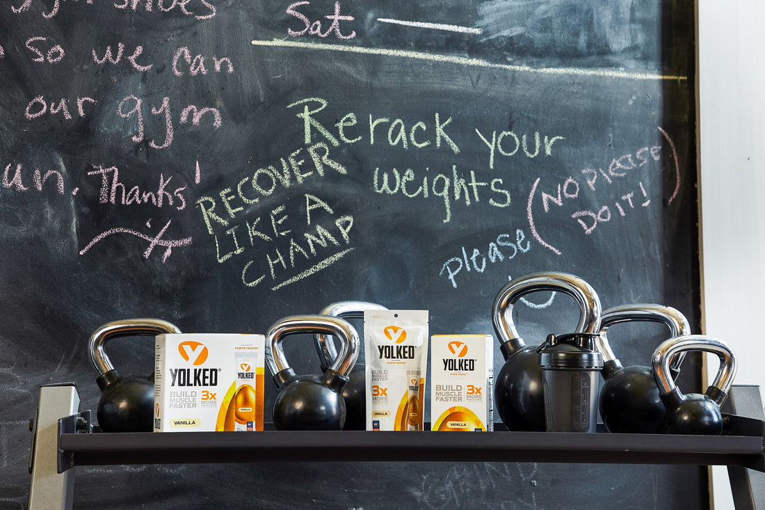 Fortetropin vs Protein: Why They’re Not the Same