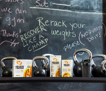 Fortetropin vs Protein: Why They’re Not the Same